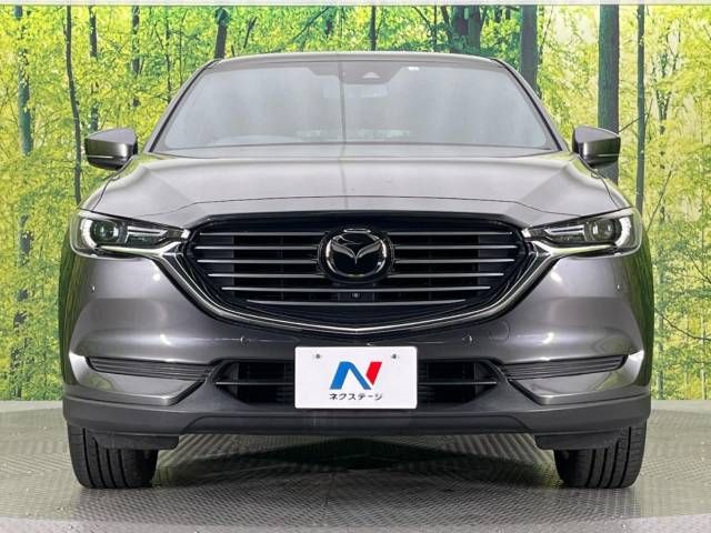 Mazda CX-8 2018-04 185759-14