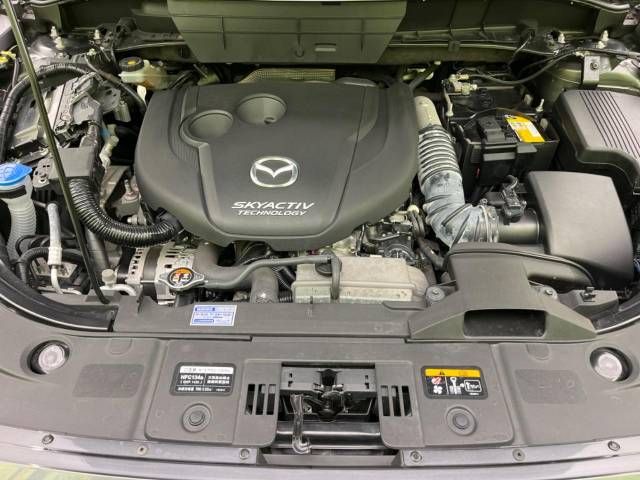 Mazda CX-8 2018-04 185759-16