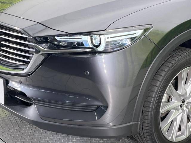 Mazda CX-8 2018-04 185759-12