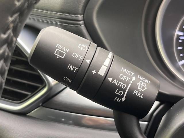 Mazda CX-8 2018-04 185759-19