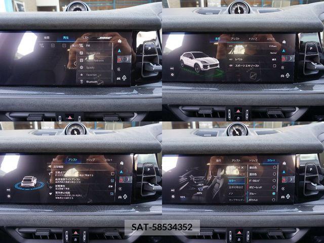 Porsche CAYENNE 2024-06 333699-22
