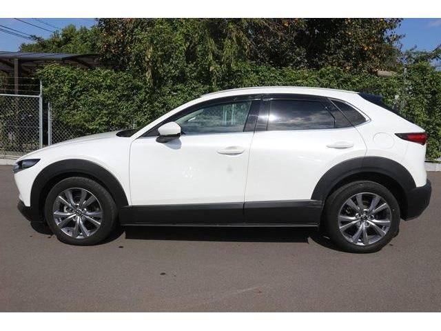 Mazda CX-30 2020-03 9806-4