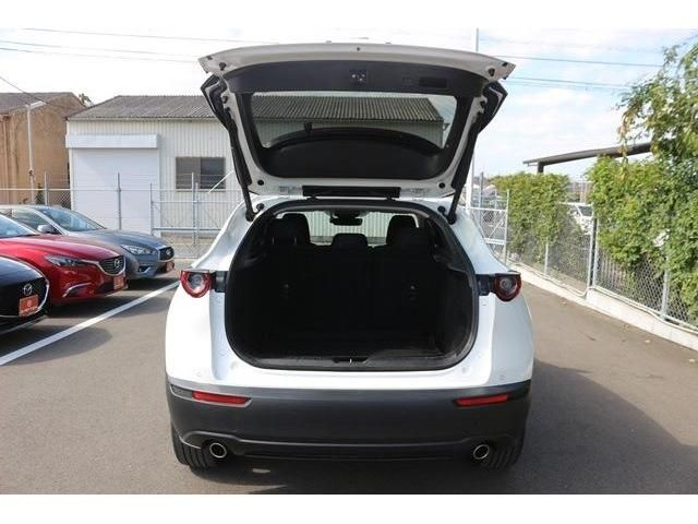 Mazda CX-30 2020-03 9806-10