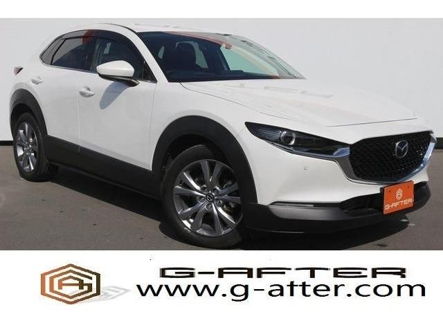 Mazda CX-30 2020-03 9806-0
