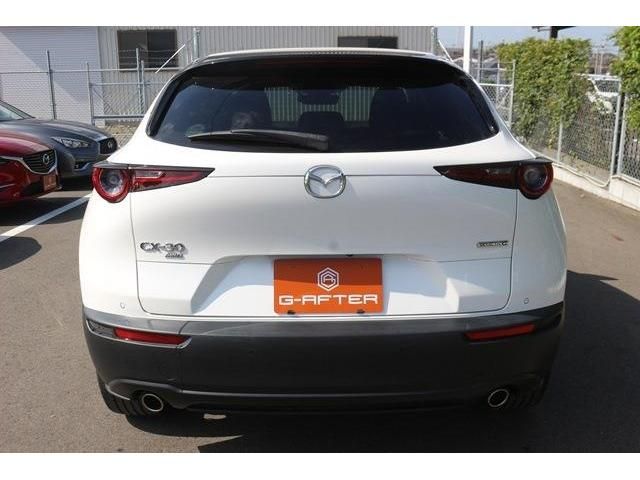 Mazda CX-30 2020-03 9806-3