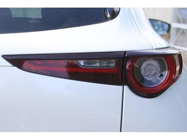 Mazda CX-30 2020-03 9806-6