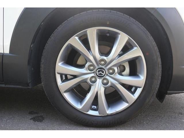 Mazda CX-30 2020-03 9806-8