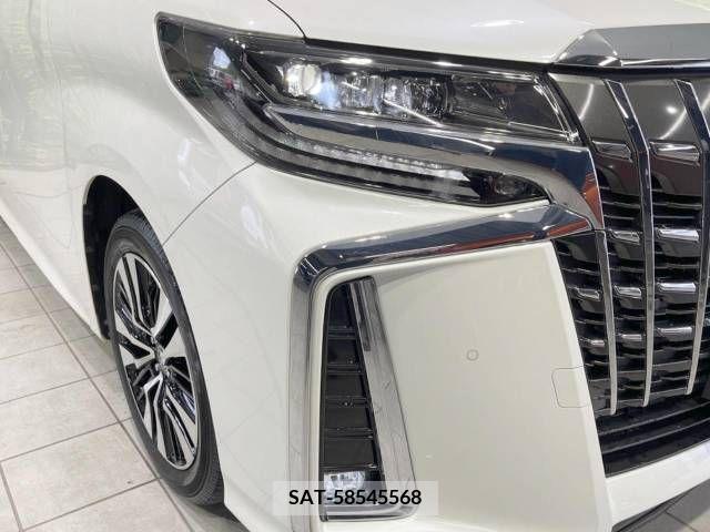 Toyota ALPHARD 2022-06 259034-13