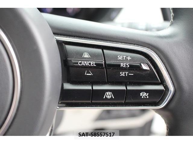 Mazda CX-60 2022-12 308684-5