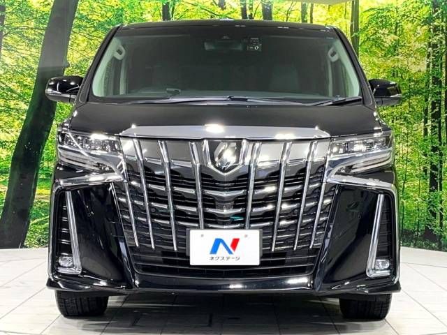 Toyota ALPHARD 2021-01 9874-15