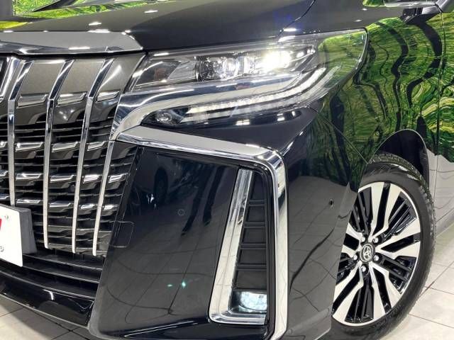 Toyota ALPHARD 2021-01 9874-13