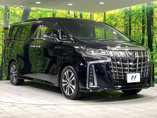 Toyota ALPHARD 2021-01 9874-17