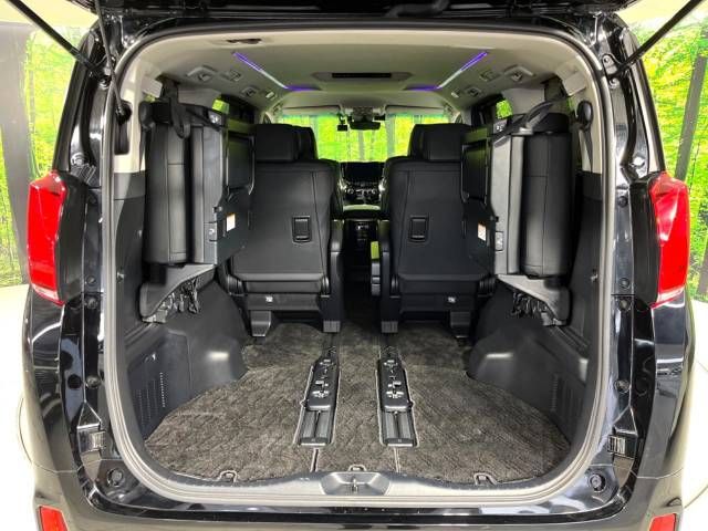 Toyota ALPHARD 2021-01 9874-11