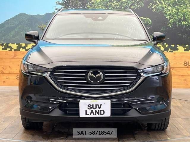 Mazda CX-8 2018-08 266232-14