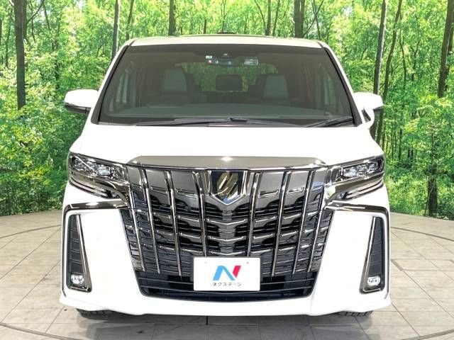 Toyota ALPHARD 2021-03 190016-14