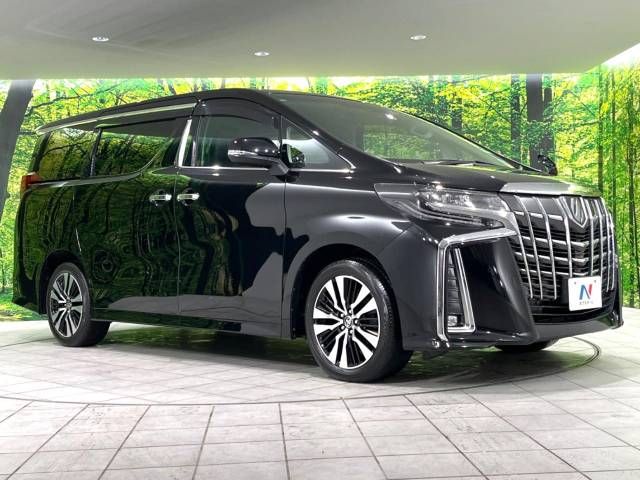 Toyota ALPHARD 2020-06 193877-16