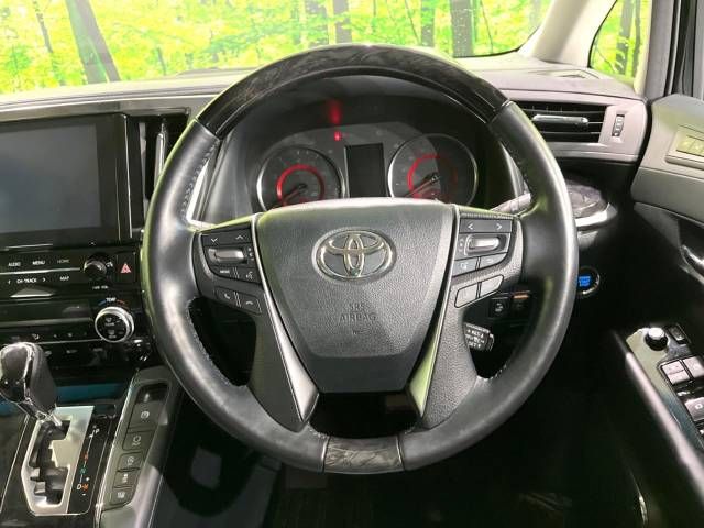 Toyota ALPHARD 2020-06 193877-11