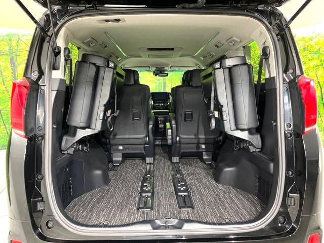 Toyota ALPHARD 2020-06 193877-10