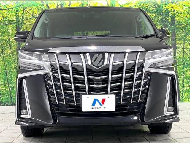 Toyota ALPHARD 2020-06 193877-14