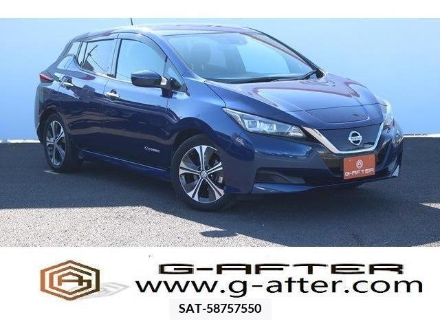 Nissan LEAF 2018-11 372707-0
