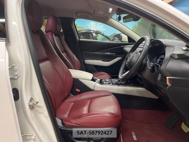 Mazda CX-30 2020-08 295623-8