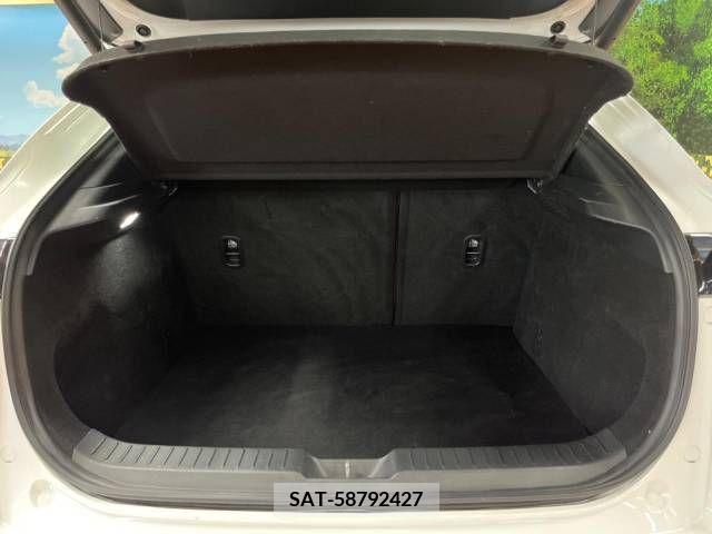 Mazda CX-30 2020-08 295623-10