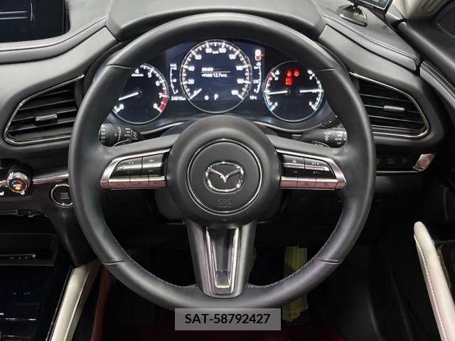 Mazda CX-30 2020-08 295623-11