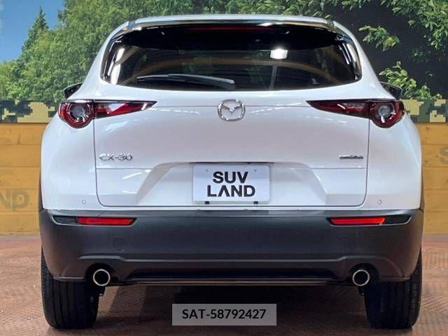 Mazda CX-30 2020-08 295623-15