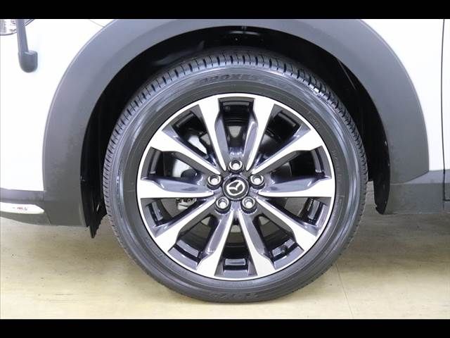 Mazda CX-3 2018-08 11785-23