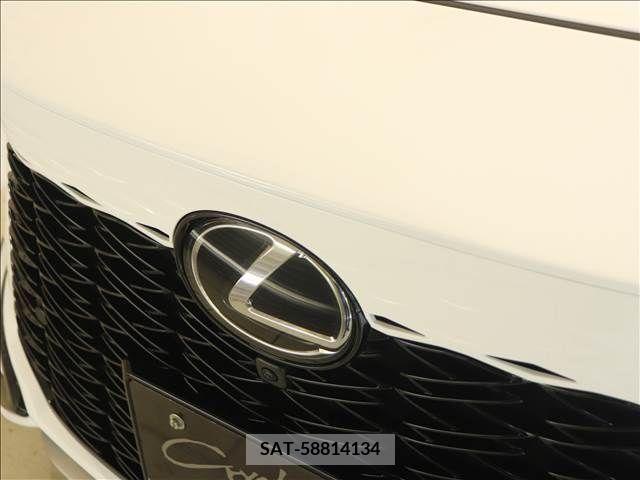 Lexus RX 2023-03 275872-13