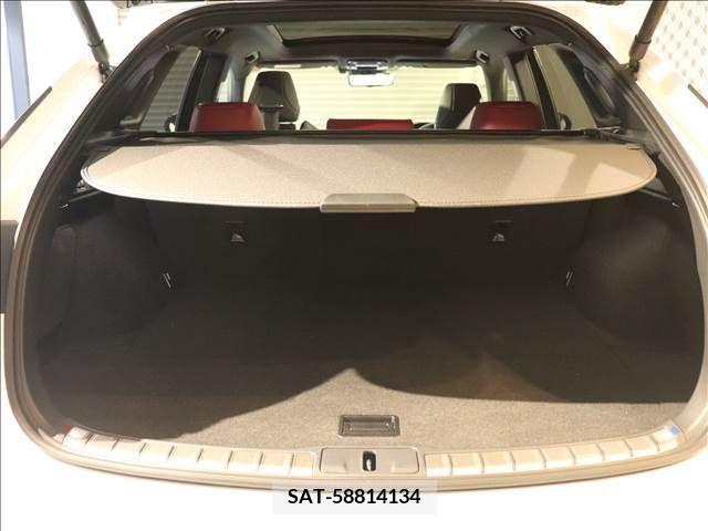 Lexus RX 2023-03 275872-19