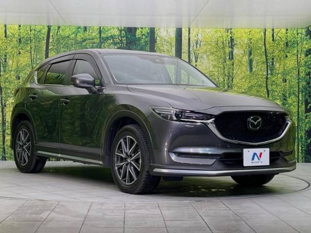 Mazda CX-5 2017-03 28749-16