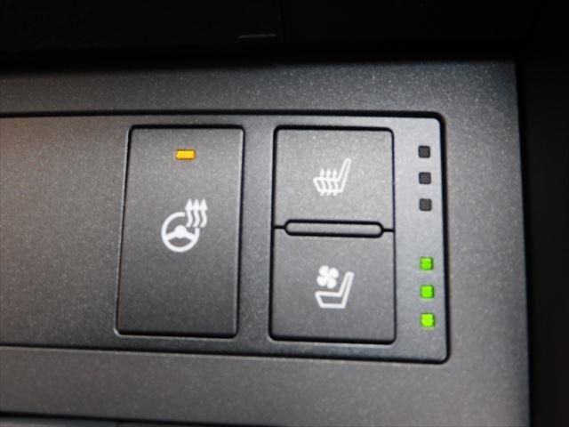Lexus IS 2020-11 18949-21