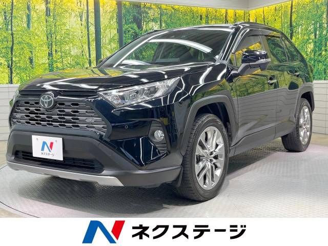 Toyota RAV4 2019-11 14765-0