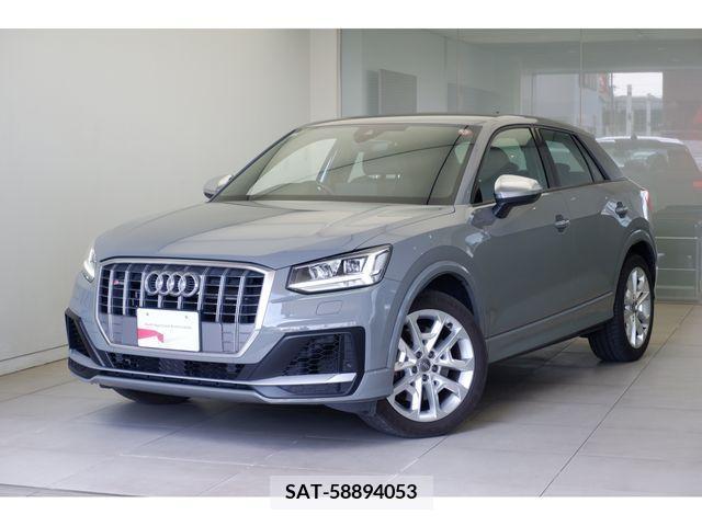Audi SQ2 2020-10 317991-0