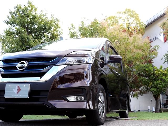 Nissan SERENA 2019-03 191163-6