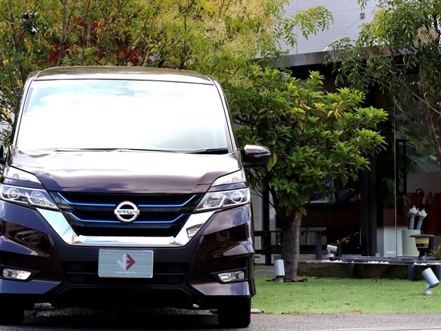 Nissan SERENA 2019-03 191163-4