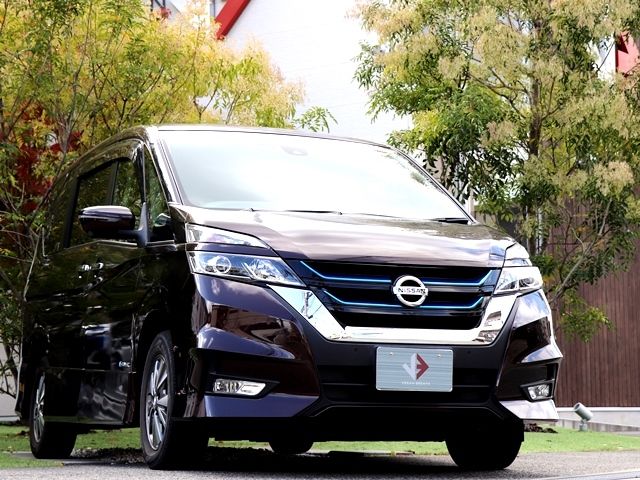 Nissan SERENA 2019-03 191163-5