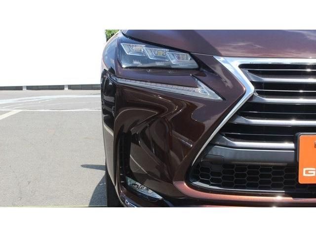 Lexus NX 2015-10 8653-5