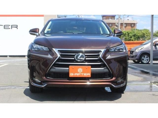 Lexus NX 2015-10 8653-1