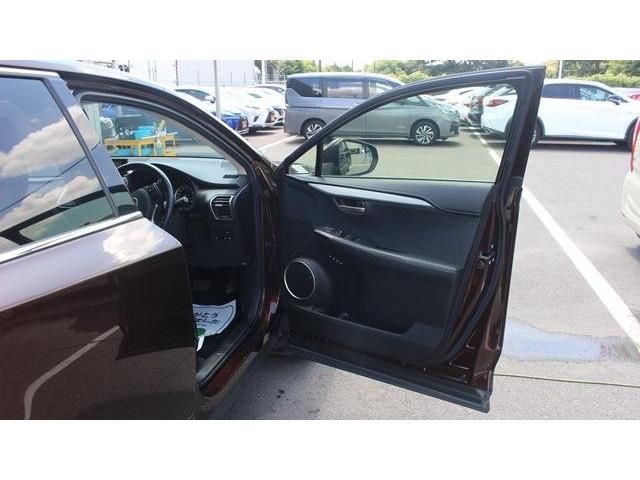 Lexus NX 2015-10 8653-9