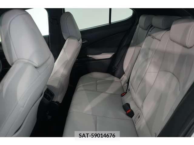 Lexus UX 2022-11 353965-18