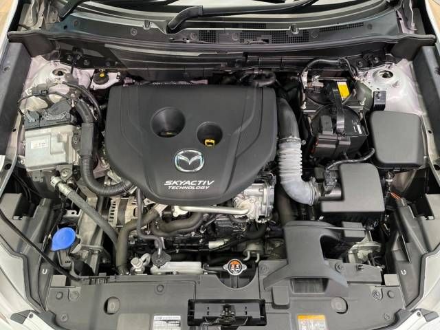 Mazda CX-3 2016-09 8996-18