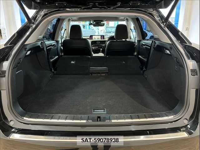 Lexus RX 2016-03 354048-10