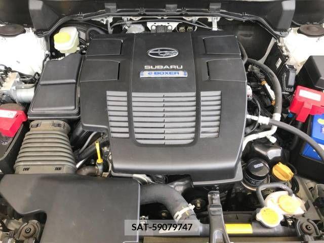 Subaru FORESTER 2018-10 336116-19