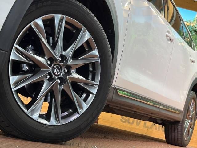 Mazda CX-8 2019-01 190682-15