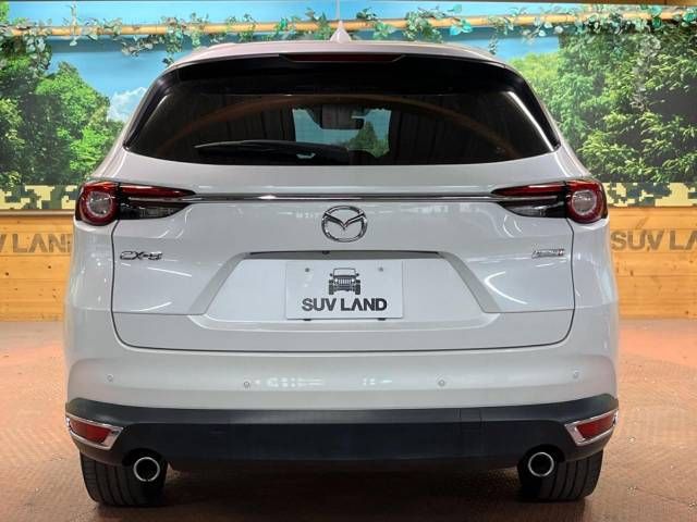 Mazda CX-8 2019-01 190682-17