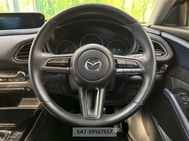 Mazda CX-30 2020-03 295639-11