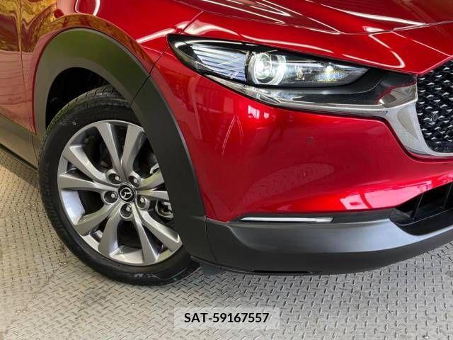 Mazda CX-30 2020-03 295639-12