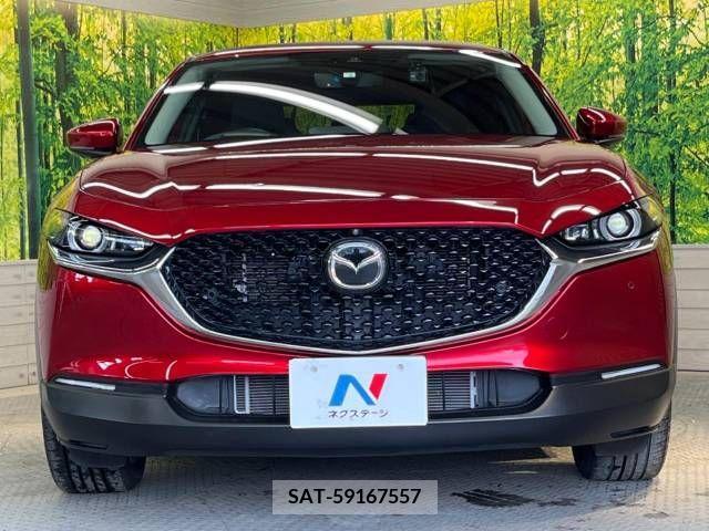 Mazda CX-30 2020-03 295639-14